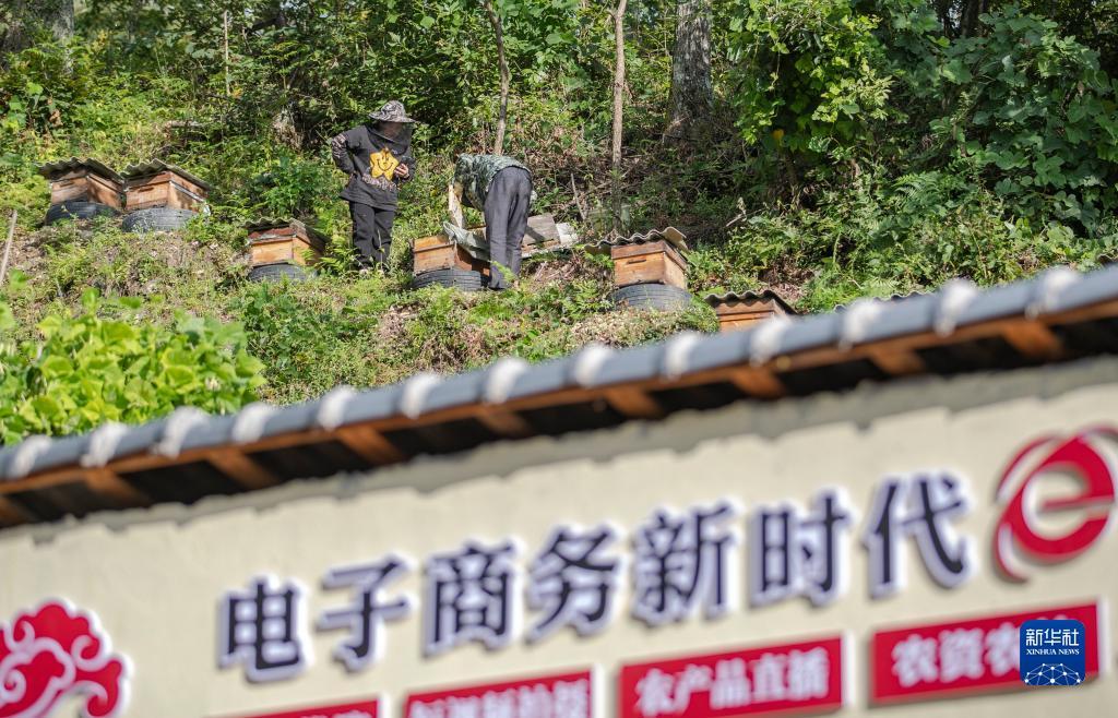 电子游艺爆分